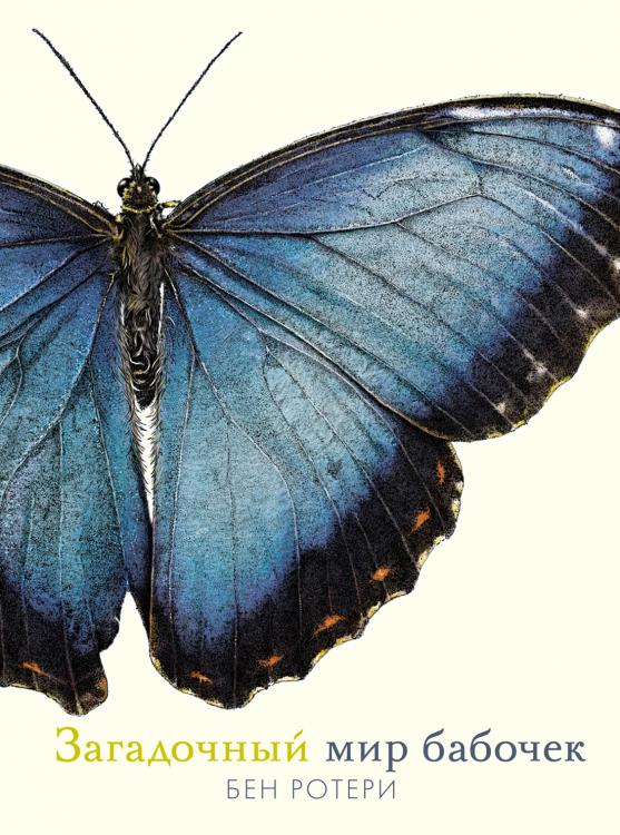 Загадочный мир бабочек Махаон Бен Ротери 