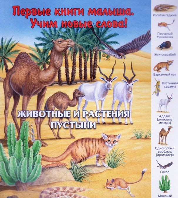 Первые книги малыша.Учим новые слова! Животные и растения пустыни
